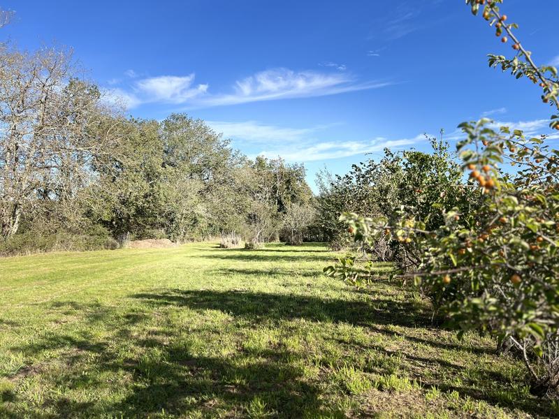 Maison - 95 m² - 3 pièces