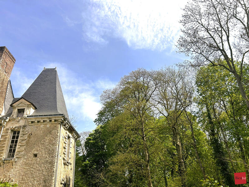 Manoir - 600 m² - 16 pièces