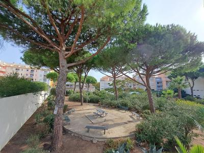 Appartement - 21 m² - 1 pièce