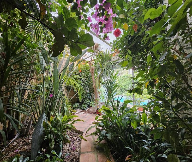 Maison - 206 m² - 6 pièces