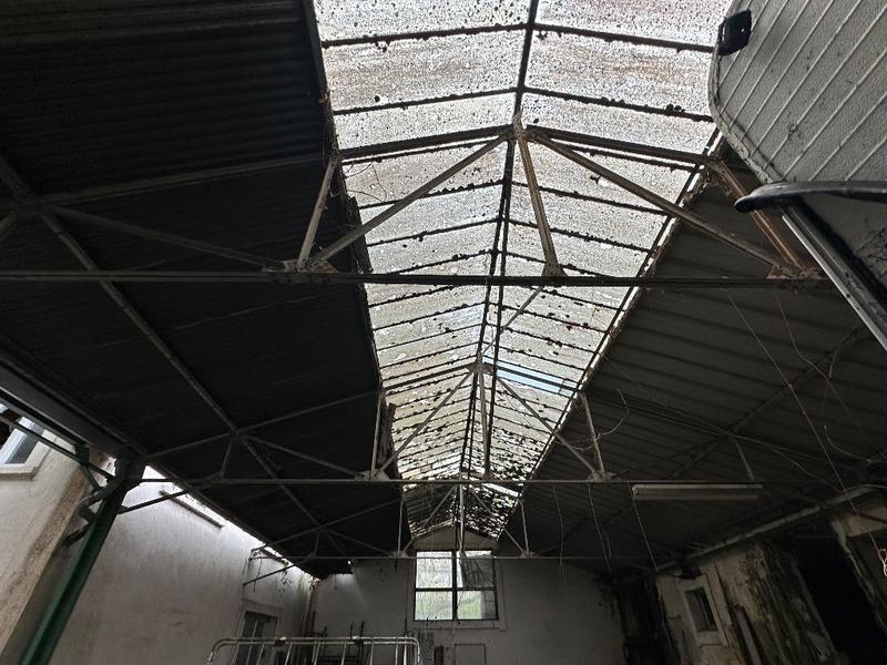 Immeuble - 1 031 m²