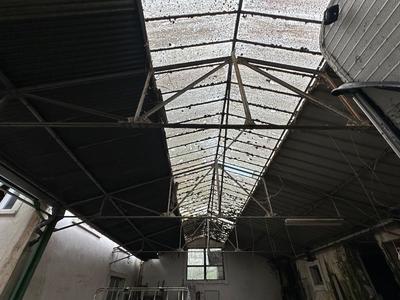 Immeuble - 1 031 m²