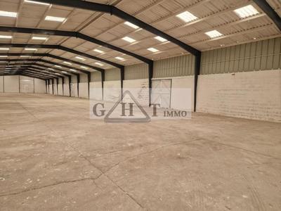 Entrepôt - 4 320 m²
