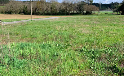 Terrain constructible - 1 087 m²