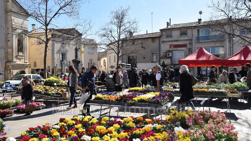 Duplex - 86 m² - 5 pièces