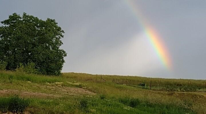 Maison - 190 m² - 5 pièces