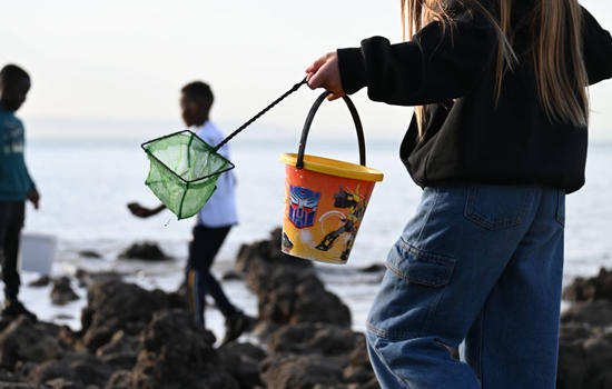 Sortie nature : Explorons l'estran