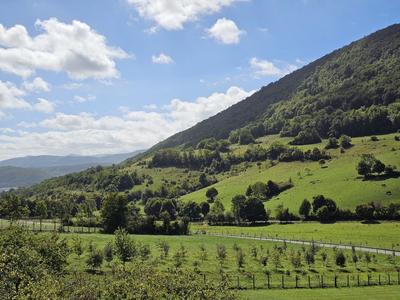 Maison - 202 m² - 10 pièces