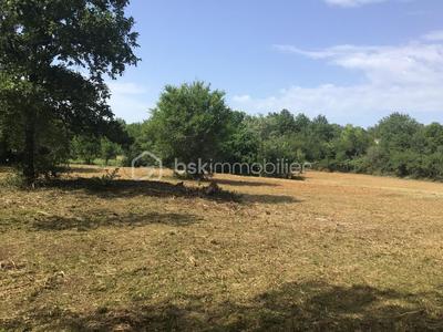 Terrain - 8 020 m²