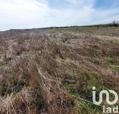 Terrain agricole - 6 635 m²