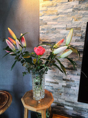 Histoires Naturelles