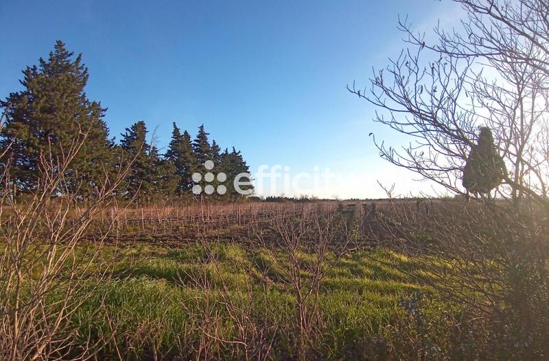 Mas - 316 m² - 10 pièces