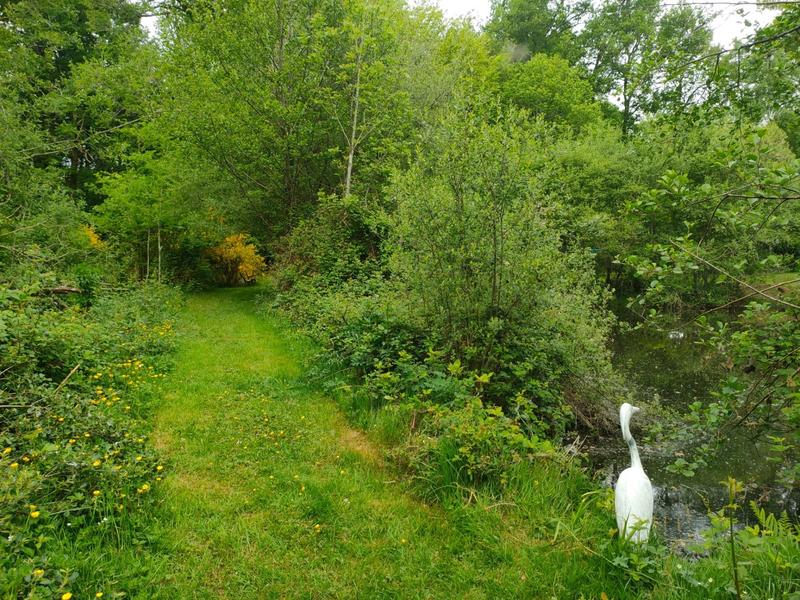 Terrain - 14 125 m²