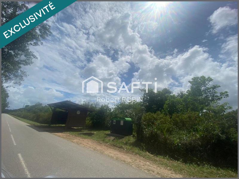 Terrain - 11 467 m²