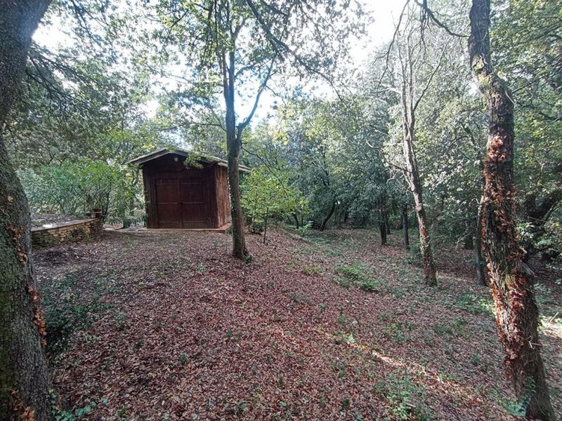Terrain - 8 706 m²