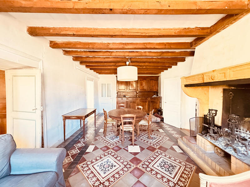 Maison - 451 m² - 10 pièces