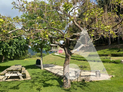 Demeure - 448 m² - 12 pièces