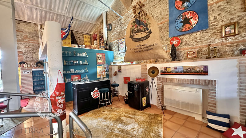 Mas - 298 m² - 5 pièces