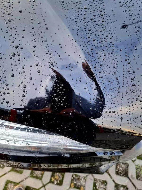 Volvo Xc60 T6 Awd R Design Polestar Pano