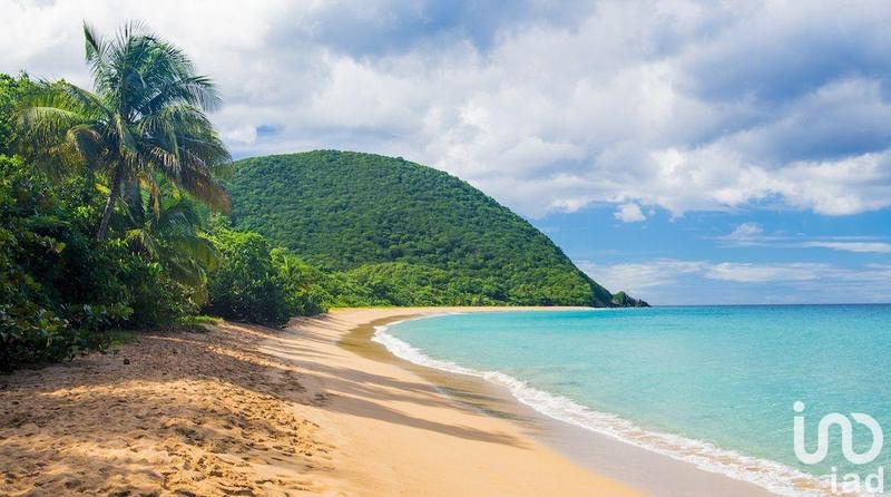 Local commercial - 11 303 m²