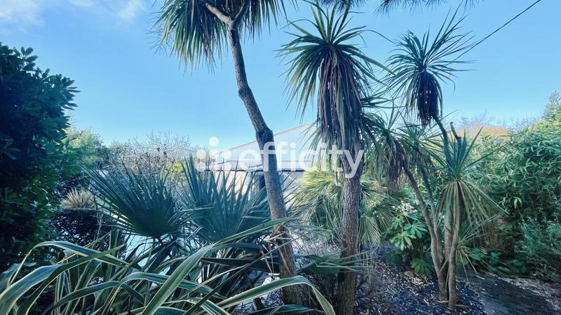 Maison en pierre - 200 m² - 8 pièces