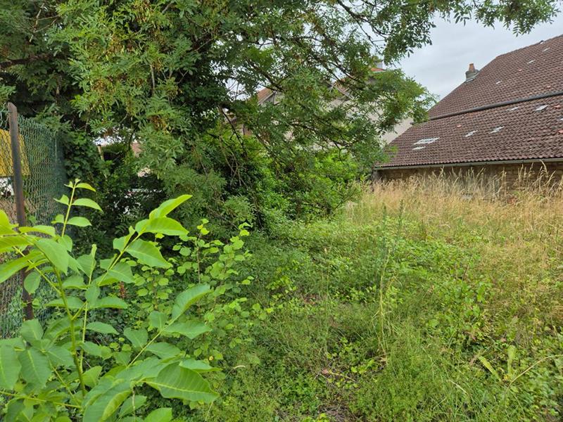 Maison de village - 180 m² - 5 pièces