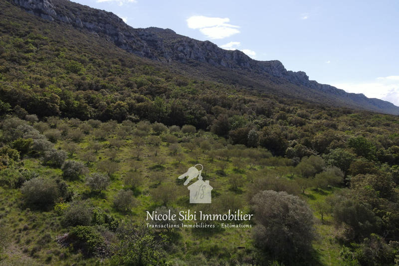 Terrain agricole - 45 557 m²