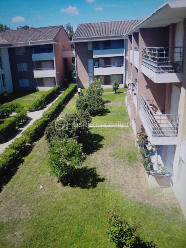 Appartement - 37 m² - 2 pièces