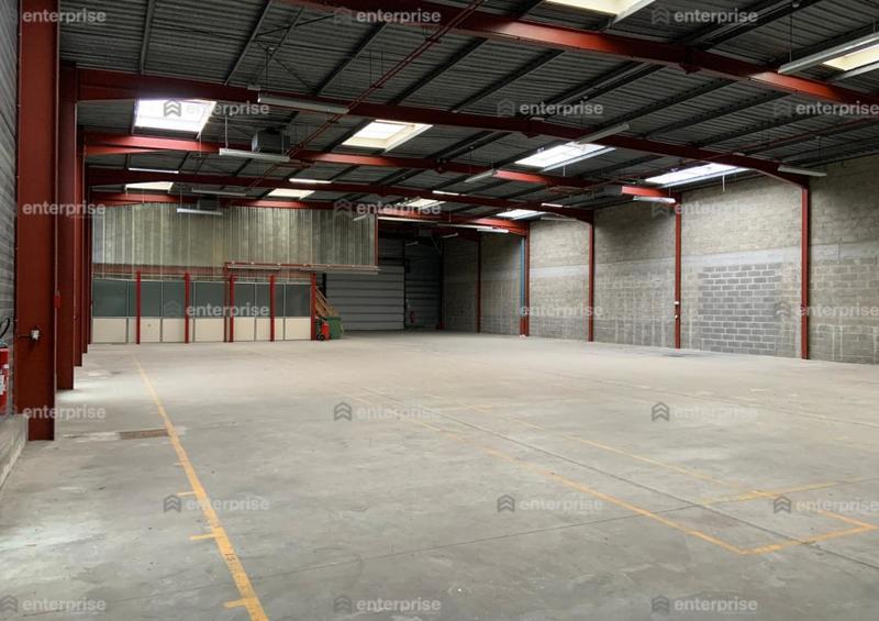 Local d'activité / Entrepôt - 800 m²