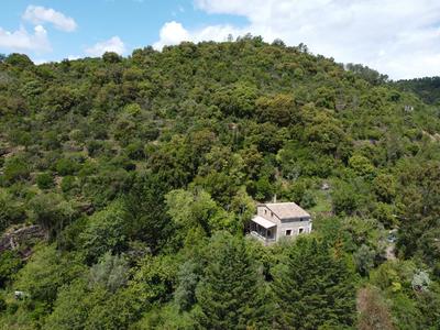 Maison provençale - 60 m² - 4 pièces