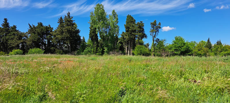 Mas - 192 m² - 7 pièces