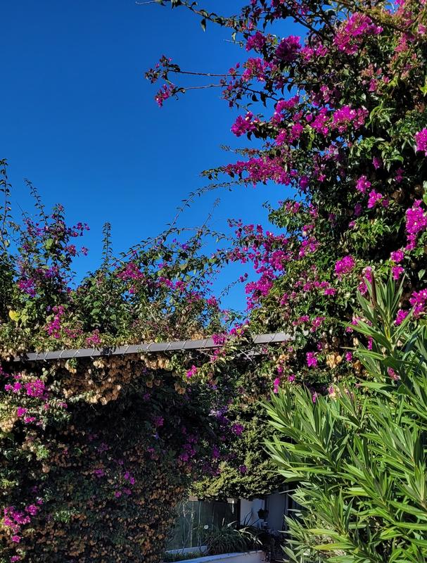 Sabrina Ferreira massages