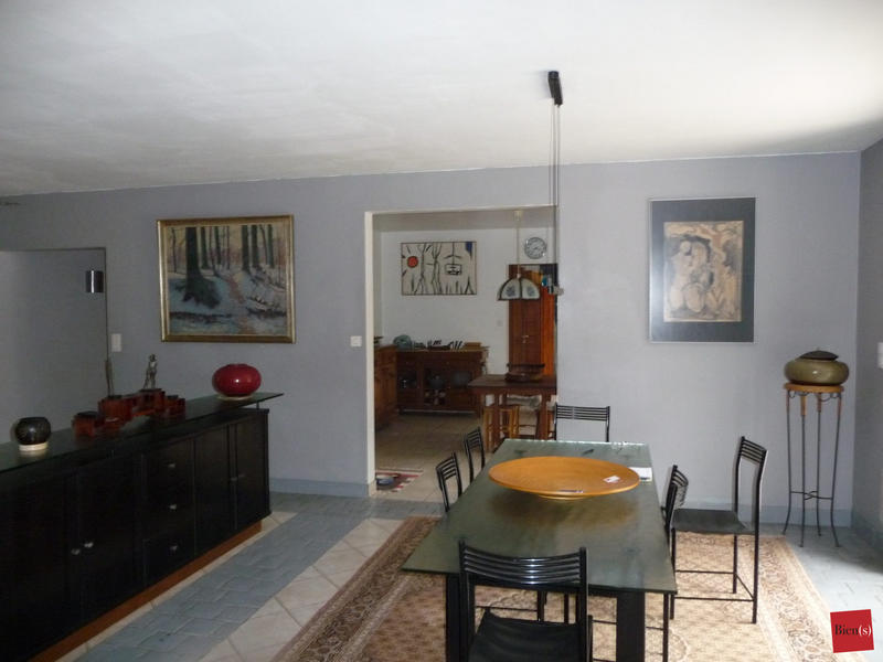 Maison ancienne - 476 m² - 13 pièces