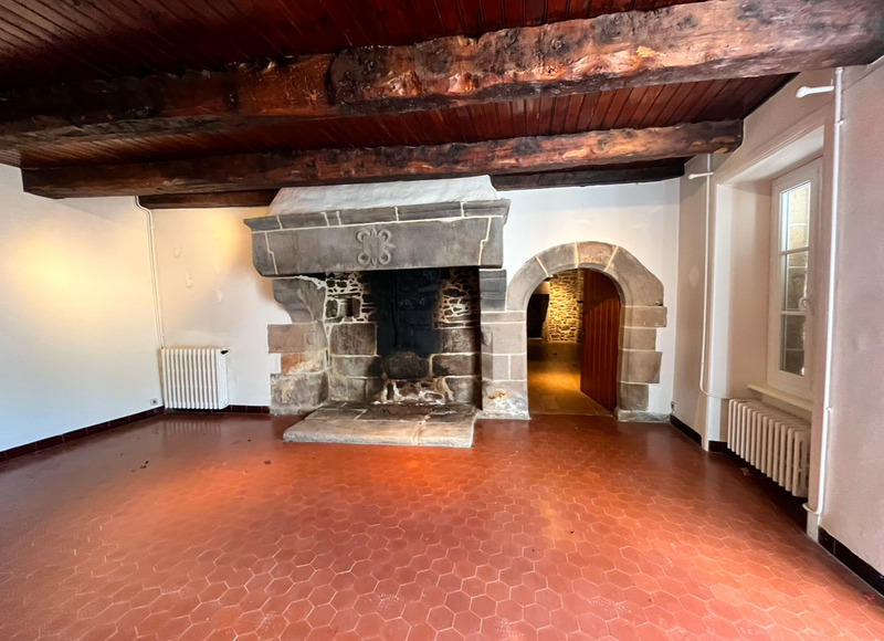 Maison en pierre - 290 m² - 9 pièces