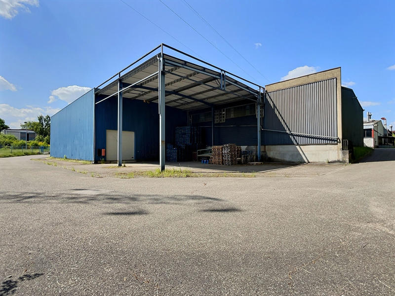 Local d'activité / Entrepôt - 4 500 m²