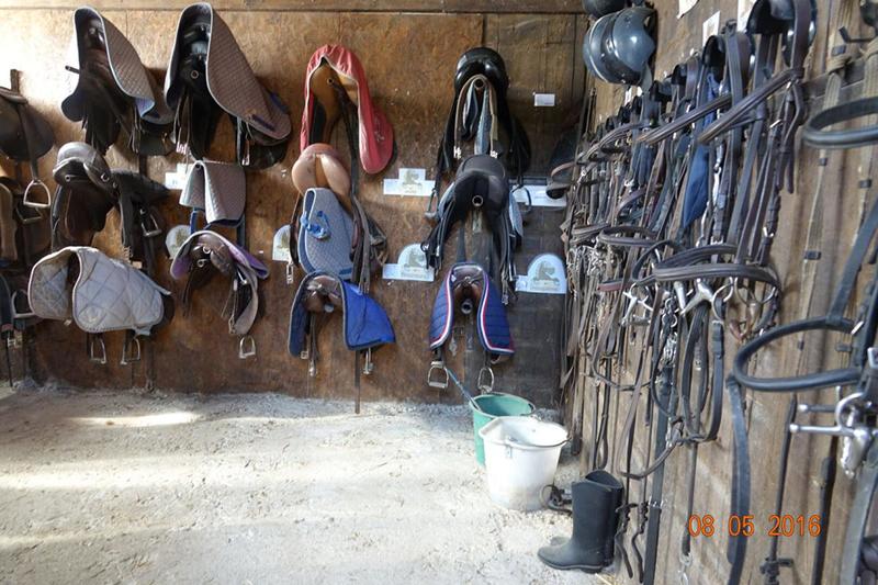 Terrain - 170 000 m²