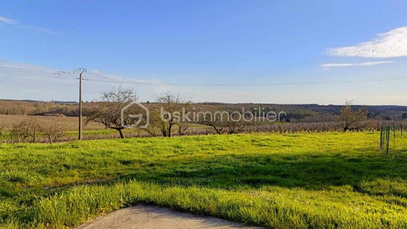 Propriété viticole - 472 m² - 14 pièces