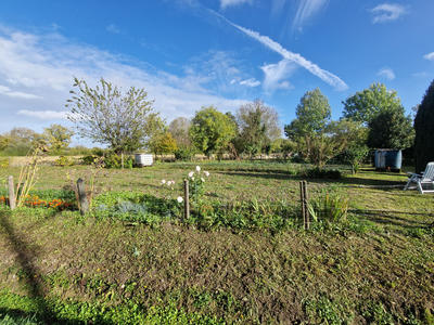 Hangar - 86 m² - 2 pièces