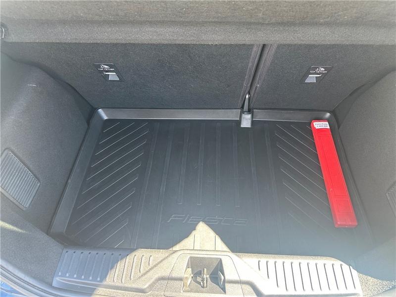 Ford Fiesta VII 1.0 Flexifuel 95 Ch s&amp;S Bvm6 Titanium Business