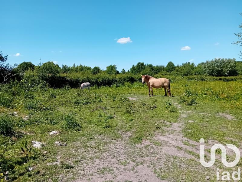 Maison - 642 m² - 14 pièces