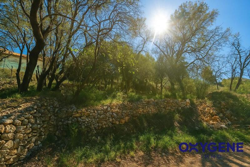 Maison - 40 m² - 1 pièce