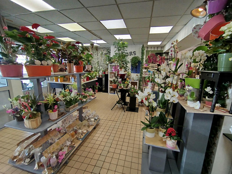 Maison - 203 m² - 10 pièces