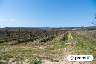 Terrain agricole - 41 115 m²