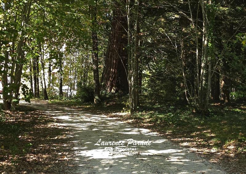 Maison - 625 m² - 20 pièces