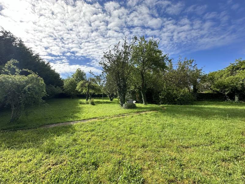 Terrain agricole - 1 300 m²