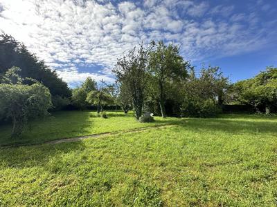 Terrain agricole - 1 300 m²