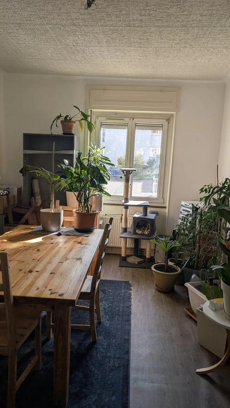 Appartement - 146 m² - 6 pièces