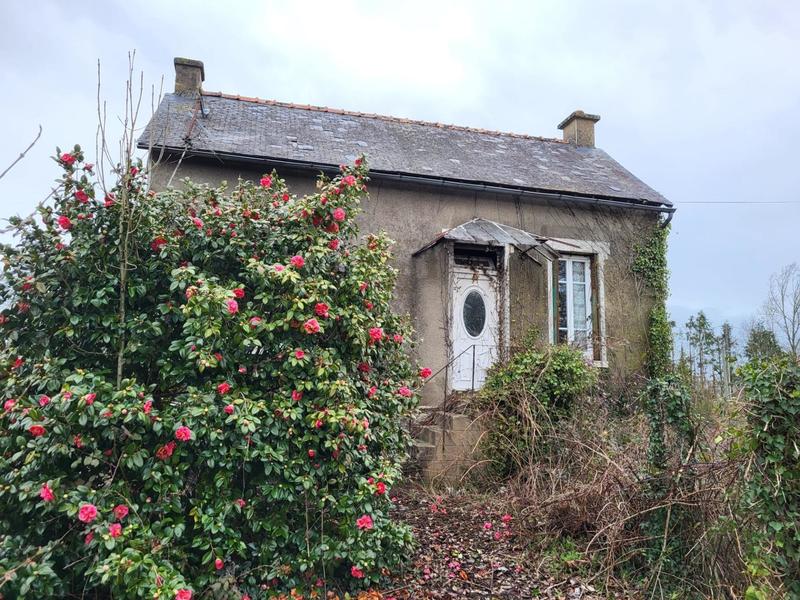 Maison - 31 m² - 2 pièces