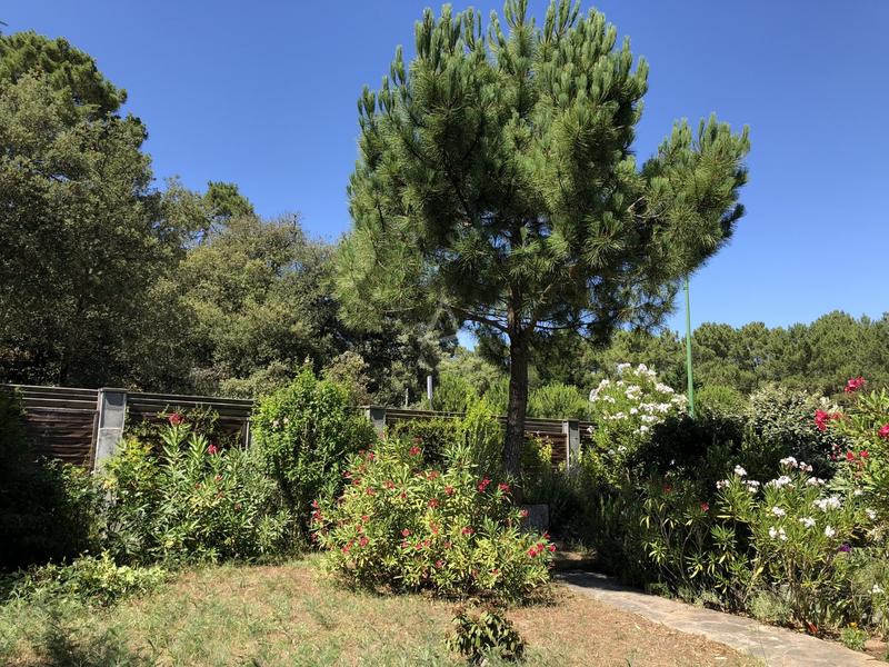 Maison - 80 m² - 5 pièces