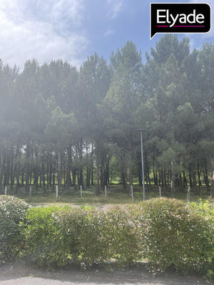 Appartement - 41 m² - 2 pièces